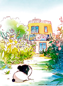 Baja's Studio