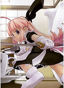 Ichigeki Sacchuu!! Hoihoi-san