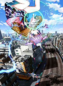 Wizard Barristers
