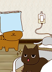 Neko Enikki