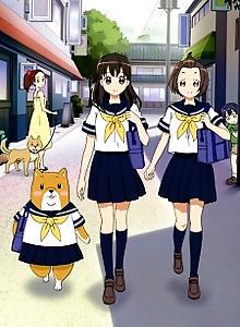 Shiba Inuko-san