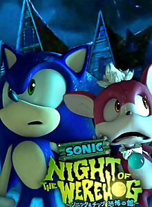 Sonic: Night of the Werehog