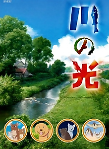 Kawa no Hikari
