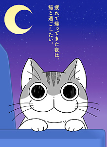 Nights with a Cat Season 2