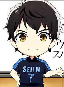 2.43 Mini Anime